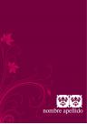 Curriculum Vitae - Flor de Lys