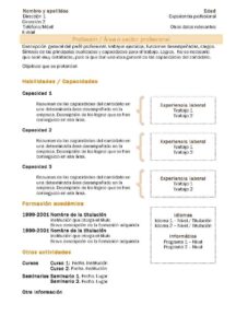 Currículum Vitae: Modelo Funcional 2