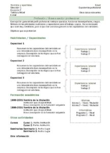 Currículum Vitae: Modelo Funcional 2