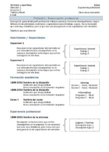 Currículum Vitae: Modelo Combinado 2