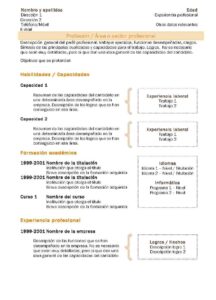 Currículum Vitae: Modelo Combinado 2