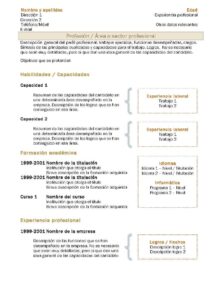 Currículum Vitae: Modelo Combinado 2