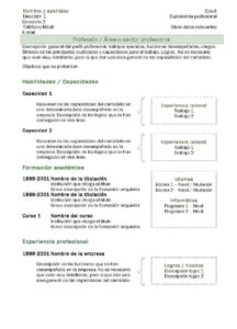 Currículum Vitae: Modelo Combinado 2